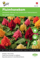 Celosia ice cream mixed 100zaden - afbeelding 3