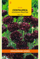 Centaurea cyanus black boy 1.5gram - afbeelding 1