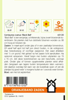 Centaurea cyanus black boy 1.5gram - afbeelding 2
