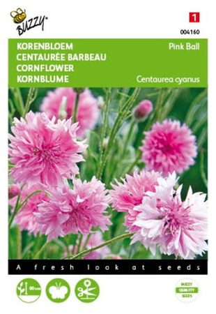 Centaurea cyanus pink ball 1gram - afbeelding 1