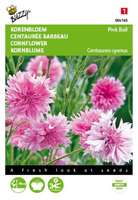 Centaurea cyanus pink ball 1gram