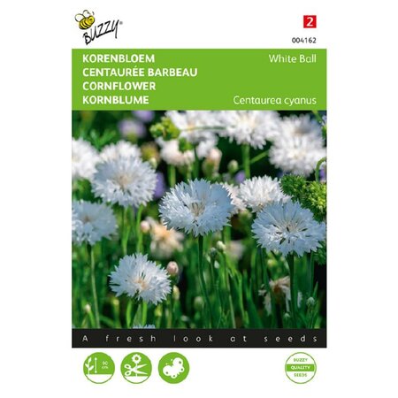 Centaurea cyanus white ball 1g - afbeelding 1