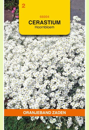 Cerastium biebersteinii wit 0.25gram - afbeelding 1