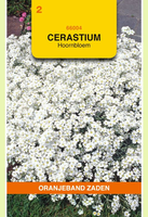 Cerastium biebersteinii wit 0.25gram