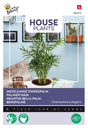 Chamaedorea minipalm 15zd - afbeelding 1