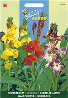 Cheiranthus cheirii fair lady 1.5gram - afbeelding 3