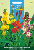 Cheiranthus cheirii fair lady 1.5gram - afbeelding 4