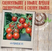 Cherrytomaat - afbeelding 2