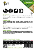 Chinese knoflook bieslook 1g - afbeelding 2