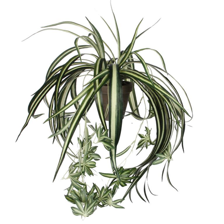 Chlorophytum hang in pot d45cm groen (Zijde-plant) - afbeelding 1