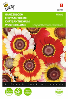 Chrysanthemum carinatum mix 1gram - afbeelding 1