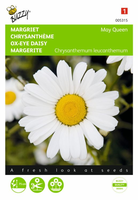 Chrysanthemum leucanthemum m 0.75gram - afbeelding 1