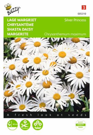 Chrysanthemum max.nanum silver 0.5gram - afbeelding 1