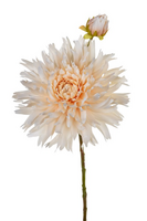 Chrysantsteel l54cm creme