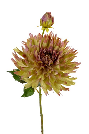 Chrysantsteel l54cm groen/roze