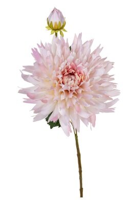 Chrysantsteel l54cm roze