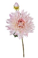 Chrysantsteel l54cm roze