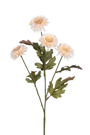 Chrysantsteel l60cm creme