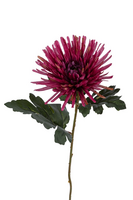 Chrysantsteel l62cm cerise