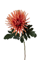 Chrysantsteel l62cm oranje