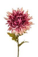 Chrysantsteel l62cm oud roze