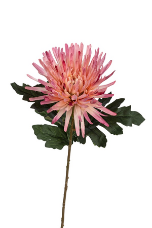 Chrysantsteel l62cm roze