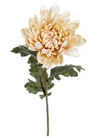 Chrysantsteel l69cm creme