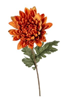 Chrysantsteel l69cm oranje