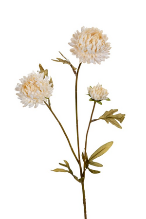 Chrysantsteel x3 l68cm creme