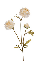 Chrysantsteel x3 l68cm creme