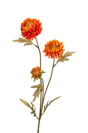 Chrysantsteel x3 l68cm oranje