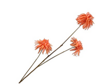 Chrysanttak l104cm oranje