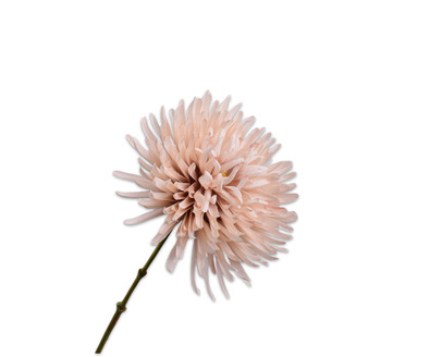 Chrysanttak l62cm lichtbruin