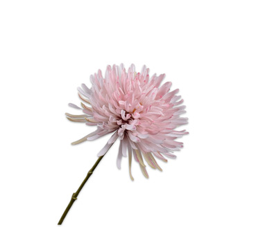 Chrysanttak l62cm lichtroze