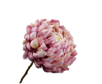 Chrysanttak l64cm lavendel/creme