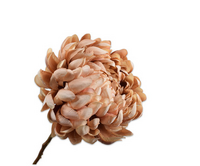 Chrysanttak l64cm mauve