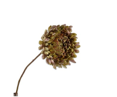 Chrysanttak l76cm mauve