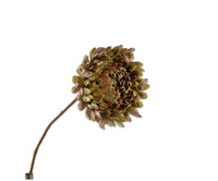 Chrysanttak l76cm mauve