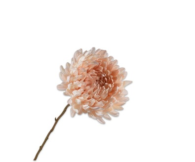 Chrysanttak l76cm perzik