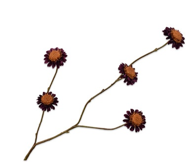 Chrysanttak l79cm paars