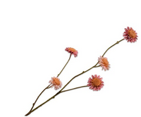 Chrysanttak l79cm roze