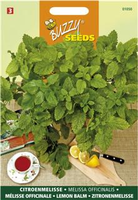 Citroenmelisse 0.5g - afbeelding 5