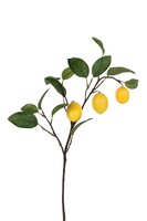 Citroentak l60cm grn/geel