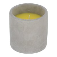 Citronella kaars in cementen pot l
