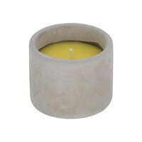 Citronella kaars in cementen pot s