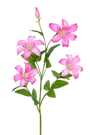 Clematissteel l90cm roze