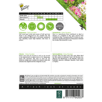Cleome colour fountain mixed 0.5g - afbeelding 2