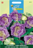 Cobaea scandens violetblauw 1gram - afbeelding 4
