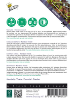 Coleus blumei regenboogmix 0.25g - afbeelding 2