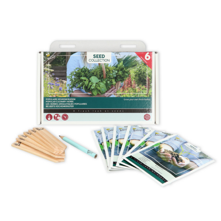 Collection 6 kruiden voor in potten